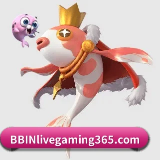bbin体育网站 APP