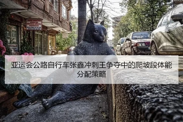 亚运会公路自行车张鑫冲刺王争夺中的爬坡段体能分配策略