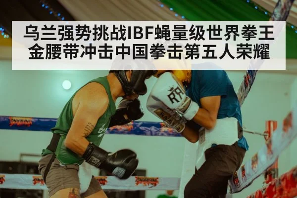 乌兰强势挑战IBF蝇量级世界拳王金腰带冲击中国拳击第五人荣耀